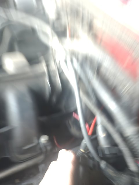 20260731_201147.jpg