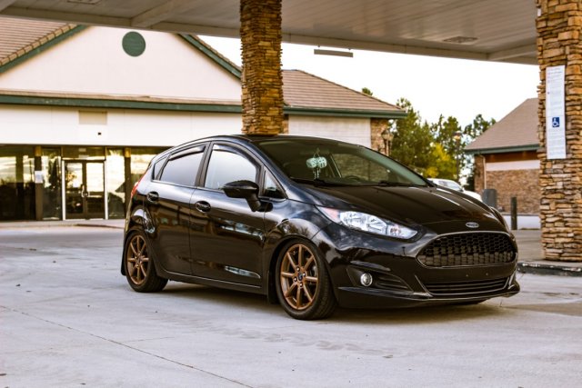 fiesta_bagged-9656 (Medium).jpg