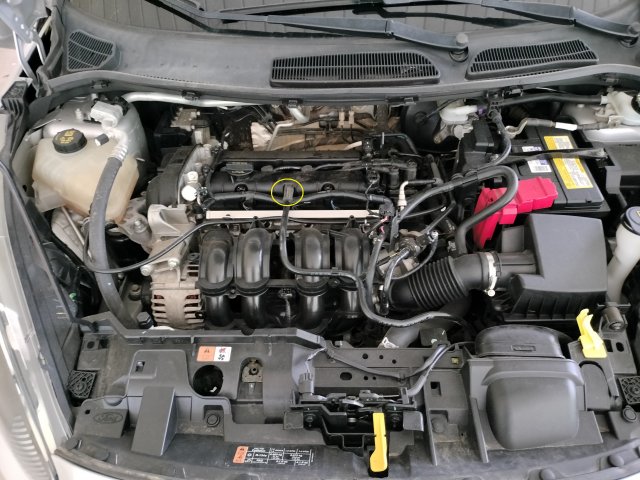 valve cover vent hose.jpg