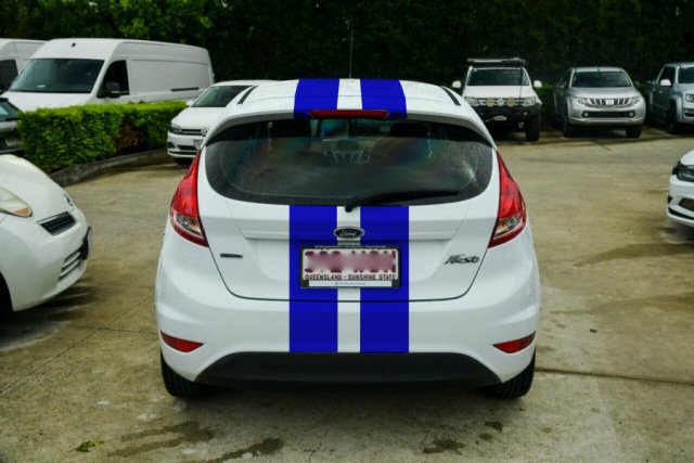 fiesta back stripes.jpg